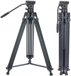 BV30